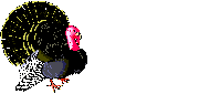 pavo04.gif