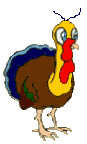 pavo17.gif