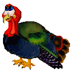 pavo23.gif