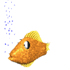 peces108.gif