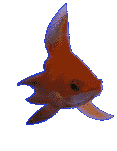 peces12.gif