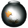 peces121.gif