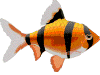 peces124.gif