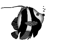peces128.gif