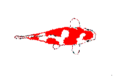 peces131.gif
