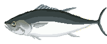 peces25.gif