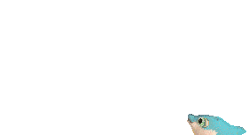 peces33.gif