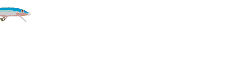 peces42.gif