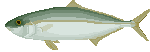 peces44.gif