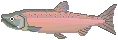 peces45.gif