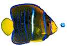 peces49.gif