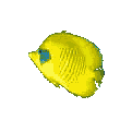 peces52.gif