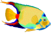 peces56.gif