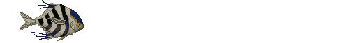 peces63.gif