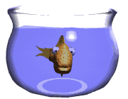 peces70.gif