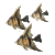 peces76.gif