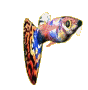 peces83.gif