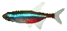peces91.gif