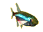 peces99.gif
