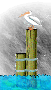 pelicano01.gif