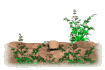 perritopradera08.gif