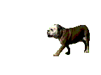 perros104.gif