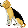 perros163.gif
