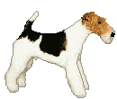 perros164.gif
