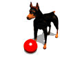 perros215.gif
