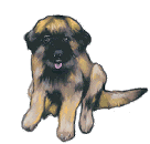 perros216.gif