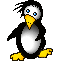 pinguino05.gif