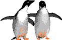 pinguino13.gif