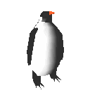 pinguino19.gif