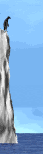 pinguino22.gif