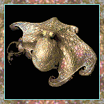 pulpo03.gif