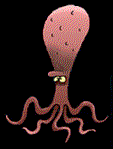 pulpo04.gif