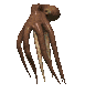 pulpo06.gif