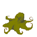 pulpo12.gif
