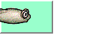 rana03.gif