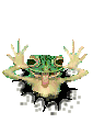 rana107.gif