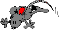 rata11.gif