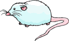 rata24.gif