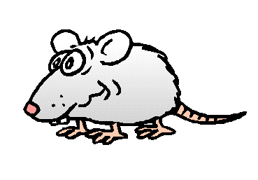 rata93.gif