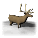 reno02.gif