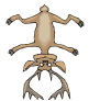 reno04.gif