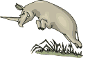 rinoceronte11.gif