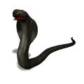 serpiente33.gif