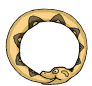 serpiente35.gif