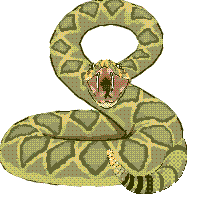 serpiente45.gif