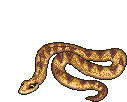 serpiente49.gif